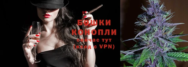 Альфа ПВП Бородино