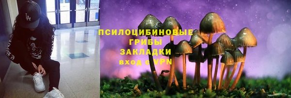 mdpv Верхний Тагил