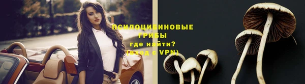 Альфа ПВП Бородино
