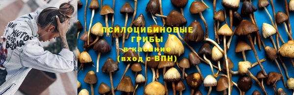 Альфа ПВП Бородино