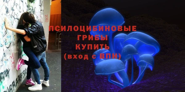 mdpv Бугульма